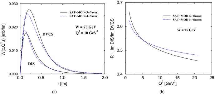 FIG. 2: (a) Comparison between the profile function W (r,Q 2 ) as a function of the dipole size r for DVCS and inclusive DIS processes at Q 2 = 10 GeV 2 