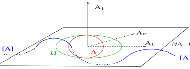 FIG. 2: A schematic representation of the configuration space of gauge fields, the “hyperplane” of transverse gauge fields, the first Gribov region and the fundamental modular region.