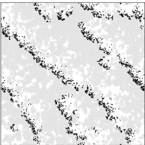 FIG. 4: Snapshot of a configuration obtained from Monte Carlo sim- sim-ulation of the PCA in a square lattice with periodic boundary  condi-tions