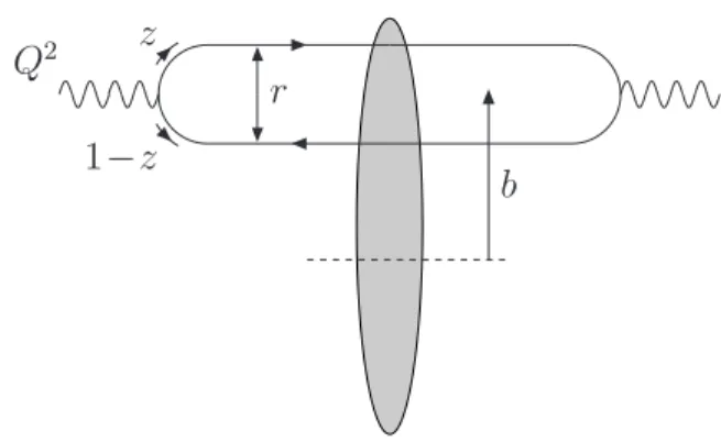 FIG. 1: Picture of the dipole model.