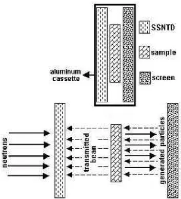 FIG. 1: Set up of the neutron induced radiography experiment where the neutron beam is converted into alpha and tritons, detected by a SSNTD.