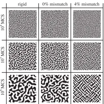 FIG. 2: C(r) for the 0% mismatch model at various times. L = 512, averaged over the lattice and lattice diagonal directions for 56 runs.