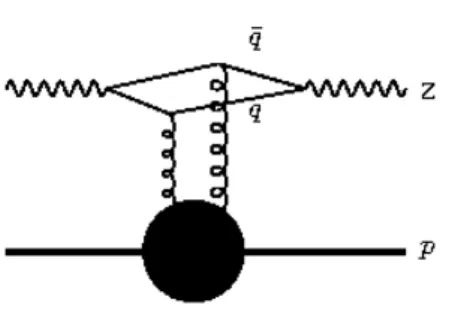 FIG. 1: Schematic view of neutral current neutrino-proton interaction in the color dipole formalism.
