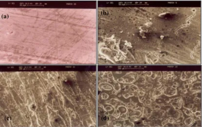 FIG. 4: SEM images of Aluminium samples. Before plasma exposure (a); after plasma exposure with Ar (b); D 2 +%2Kr (c); and D 2 (d).