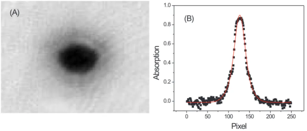 FIG. 8: Onset of condensation just below critical temperature, showing (A) the absorption CCD camera picture and (B) absorption profile showing the double spatial distribution, which is well fitted by a combination of a gaussian profile for the thermal clo