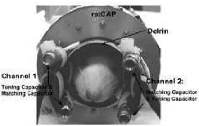 FIG. 6: Picture of experimental setup showing coil mounted inside the µPET and fitted on a rat head.