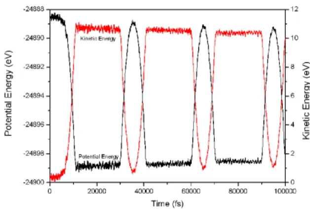 FIG. 1: Schematic representation of the capsule and nanotube nano- nano-oscillator system