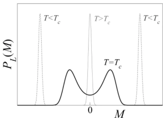 FIG. 7: Qualitative behavior of the distribution P L (M) of the magne- magne-tization of the 2D Ising model on a periodic L × L lattice