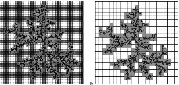 FIG. 2: Illustration of the optimizations for off-lattice aggregation processes. (a) An auxiliary square lattice is used to determine when the walker is neighboring the cluster