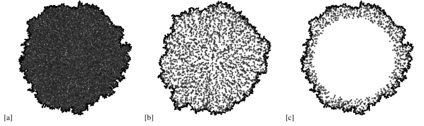 FIG. 4: (a) Eden cluster with 6000 particles. The border is represented by fullfiled symbols