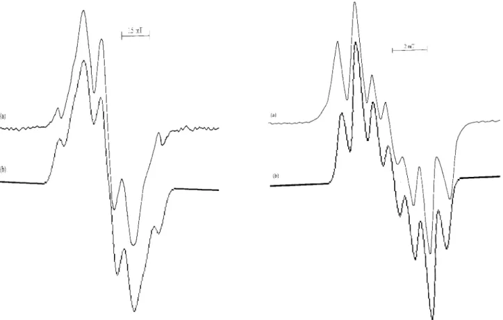 FIG. 2: The EPR spectrum of gamma- irradiated IDAHCl powder, (b) simulation of the spectrum.