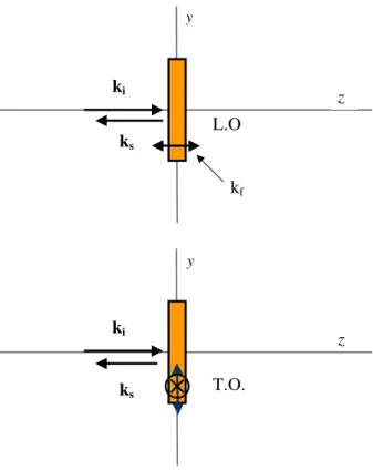 FIG. 6: Representations of the L-leucine crystal in the yz plane; k i , k s and k f stand, respectively, for the wave vector of incident and scattered lights and for the wave vector of the phonons