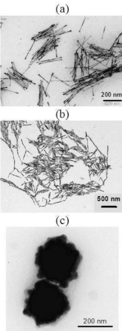 FIG. 3: Obtention of metallic (a) Co 80 Ni 20 nanowires and (b) Co nanorods by using Ru seeds