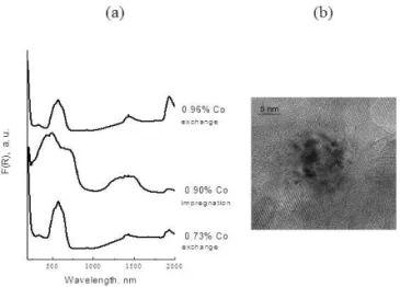 Figure 11 shows the micrographs obtained with Pd and Ru nanoparticles immobilized on niobia or alumina.