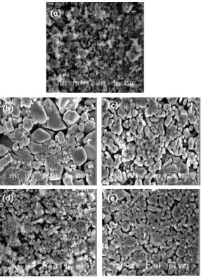 FIG. 3: SEM micrographs of (1− x)(Na 1/2 Bi 1/2 )TiO 3 −xZrO 2 ; (a) x = 0, (b) x = 0.025, (c) x = 0.05, (d) x = 0.075 and (e) x = 0.10.