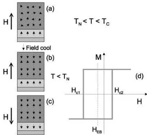 FIG. 1: Schematic illustration of the spin configuration of an AF/FM bilayer: a) above the AF ordering temperature T N , when the AF spins are disordered; b) upon cooling under an applied magnetic field the AF spins close to the interface couples and align