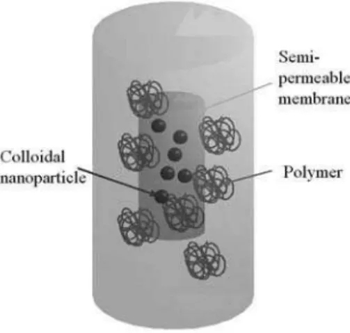 FIG. 1: Principle of an osmotic stress experiment. The nanoparticles are placed in a bag made of a membrane only permeable to water and small ions in a reservoir containing a polymer which osmotic pressure only depends on its concentration