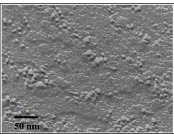 FIG. 8: Aspect of polymeric micelles (viscosity index improver and friction reducer [21, 40]) in dodecane as observed by means of  trans-mission electron microscopy on a platinum shadowed replica  pre-pared by the freeze fracturing technique
