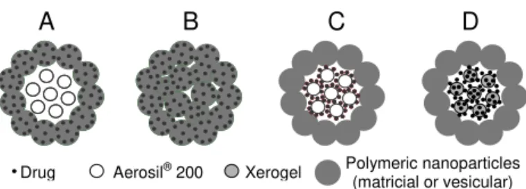 FIG. 1: Illustrative representation of the architecture of different nanostructured microparticles obtained either by sequential  assem-bly of silica and polymeric nanoparticles or by drying polymeric nanoparticles: type A is prepared by drying the drug-lo