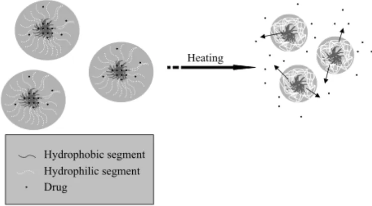 FIG. 8: DexAc released from thermo-responsive and partially biodegradable nanoparticles in response to temperature switching between 4 and 40 0 C.
