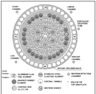 FIG. 2: Current horizontal cross-section of TRIGA IPR-R1 reactor core [3].