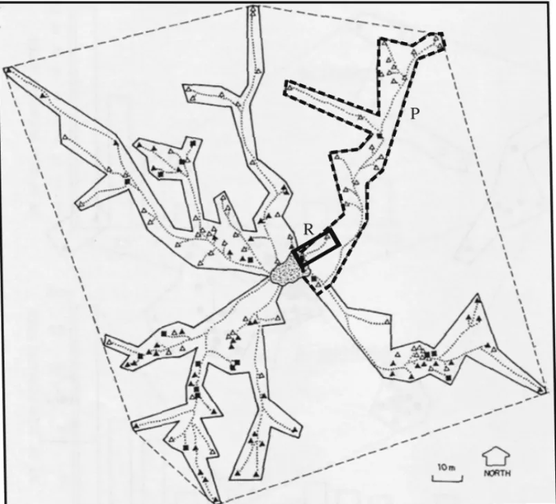 Figure 1: Trails and foraging territory [7].