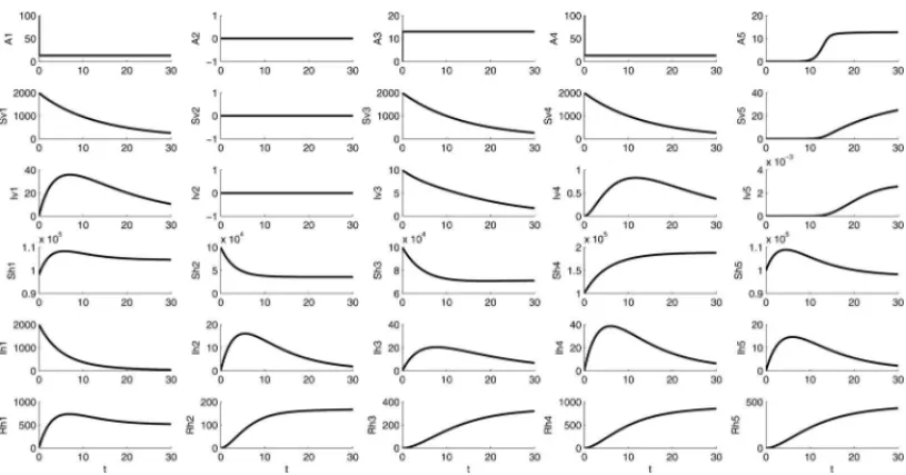 Figure 8: Dengue disease spread considering k = 5 patches. Parameters: Total time: T= 30 days; Time-step: dt = 0.01.