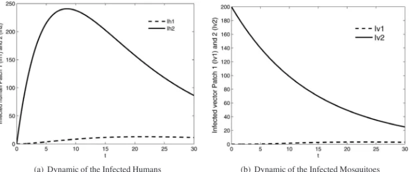 Figure 5: Dynamic of the infected population within the patches 1 and 2. T = 30 days. Initial conditions: (a) I h1 (0) = I h2 (0) = 0