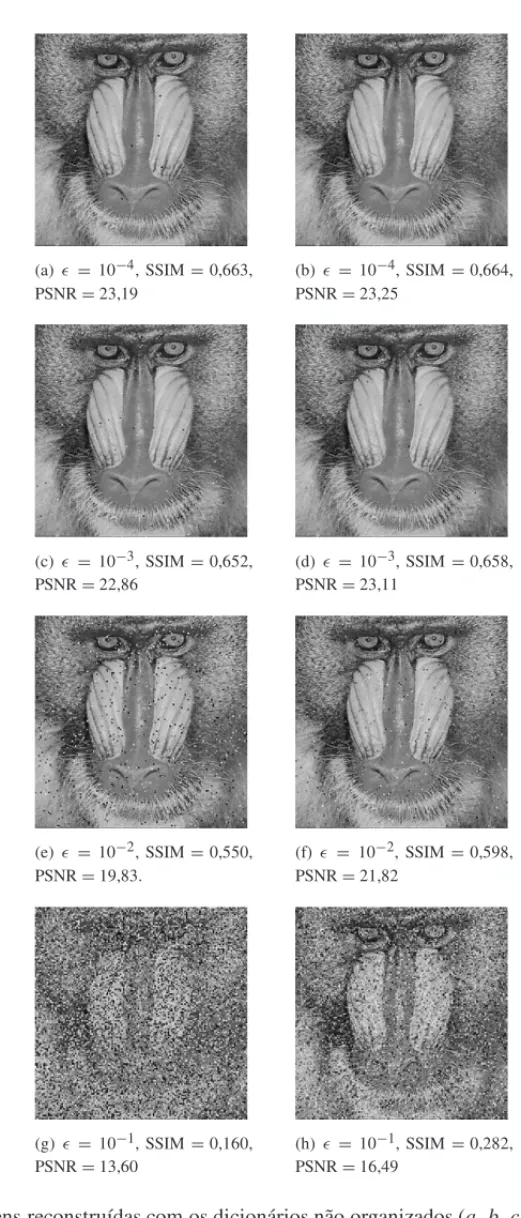 Figura 9: Imagens reconstru´ıdas com os dicion´arios n˜ao organizados (a , b, c e d ) e organizados com o VNS (e, f , g e h) na transmiss˜ao da imagem Mandrill com N = 512 pelo canal BSC.