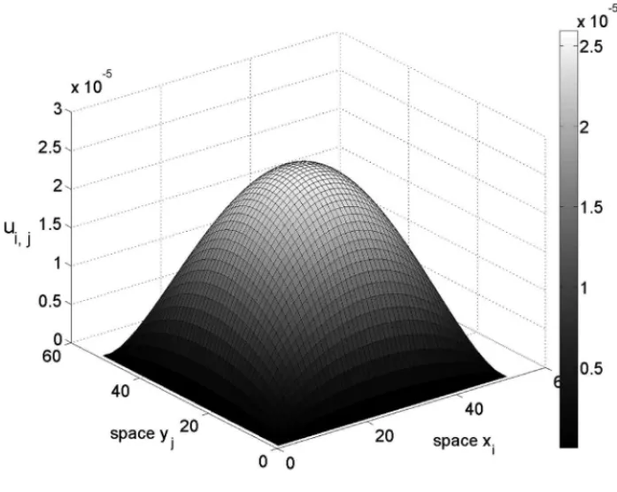 Figure 3: Numerical solution.