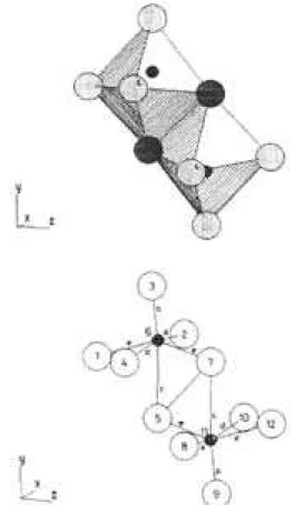 Figura 6. Proyección (100) del arreglo de octaedros del MoO 3 .