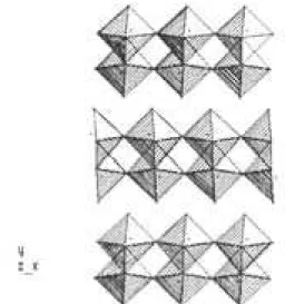 Figura 9. Proyección (001) del arreglo de octaedros del MoO 3 .