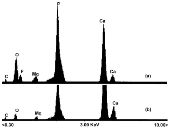 Figure 4. EDX patterns of the material (a) synthesised with NH 4 F addition in the reaction and (b) in NH 4 F absence