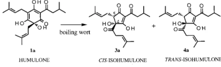 Figure 1. HPLC separation of the isohumulones in a lager beer.