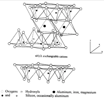 Figure 2. Schematic diagram of the structure of smectites (adapted from Grim 10 )