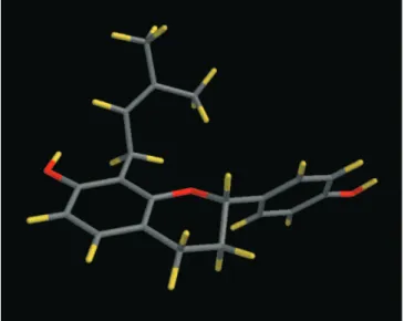 Figure 3. Conformer 1b, geometry optimization (BLYP/6-31G*) from conformational analysis by NMR of 1 in DMSO-d6 (hydrogen in yellow, carbon in grey and oxygen in red)
