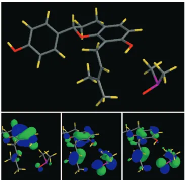 Figure 7. Optimized geometry (B3LYP/6-31G*) of 1b-DMSO system, considering interactions of prenyl group, oxygen of ring A with solvent (superior structure) and inferior structures, of left side to right side, HOMO, HOMO-1 and HOMO-2 of this system (hydroge