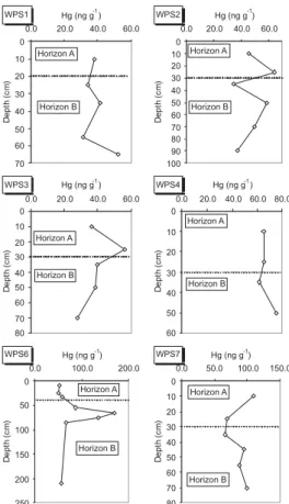 Figure 5. Total mercury concentrations in soil profiles of the studied area