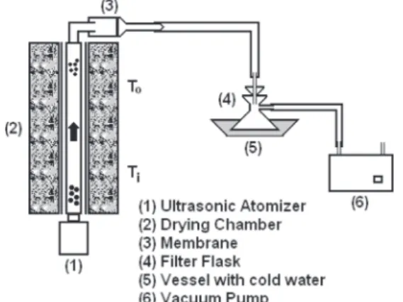 Figure 1. Scheme of the co-current ultrasound spray-drying system developed in our laboratory