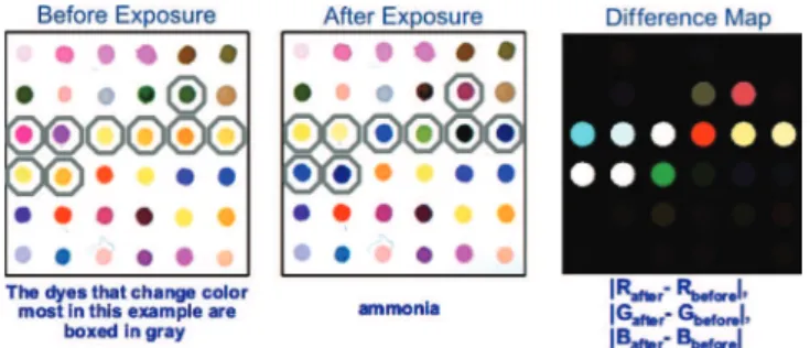 Figure 3. The components of colorimetric sensor arrays are inherently nanoscale. The 36 dyes were selected empirically based on the quality of their color response to a representative selection of different analytes