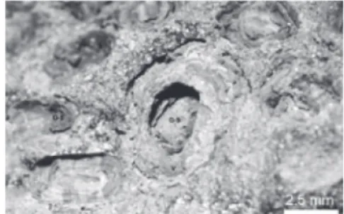 Figure 2. XRD of the pisolites from lateritic iron crust