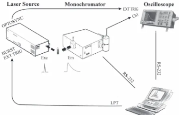 Figure 1. Scheme of the Time-Resolved Laser-Induced Luminescence Spectrometer (from left to right: nitrogen laser, sample, monochromator, digital oscilloscope and computer)