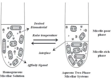 Figure 1. Schematic representation of a micellar system composed of surfactant, affinity ligands, and the desired biomaterial