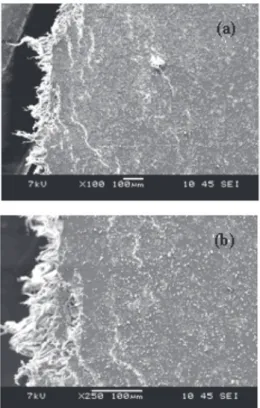 Figure 5. FTIR spectrum of LDPE/modified starch blends after exposure to gamma radiation
