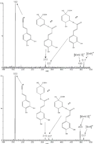Figure 2. ESI-MS/MS spectra of 3,5-di-O-[E]-caffeoylquinic acid (upper panel) and 4,5-di-O-[E]-caffeoylquinic acid (lower panel)
