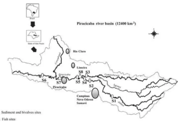 Figure 1. Study sites in Piracicaba River basin