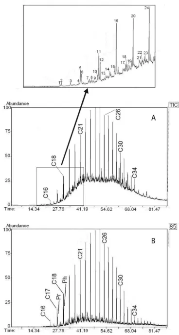 Figure 4 shows the total ion chromatogram and the m/z 85 mass  fragmentogram of a representative aliphatic fraction