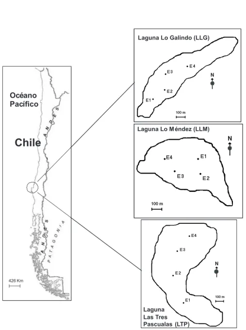 Figura 1S. Estaciones de muestreo de lagunas Lo Galindo, Lo Méndez y Tres Pascualas  
