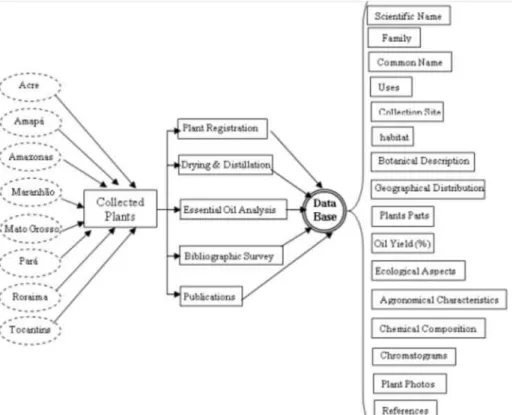 Figure 3. Database (field 1): General data of Lippia alba