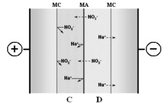 Figura 2. Funcionamiento del proceso de múltiples membranas (MC y MA) en el  que se forman dos tipos de efluentes: uno diluido (D) y otro concentrado (C)